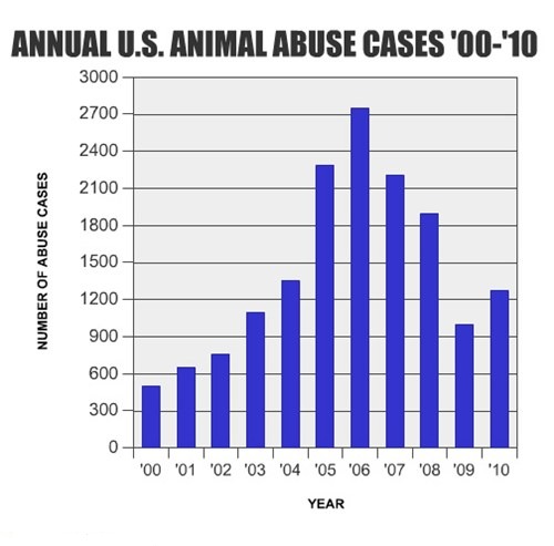 animal abuse statistics graphs 2022